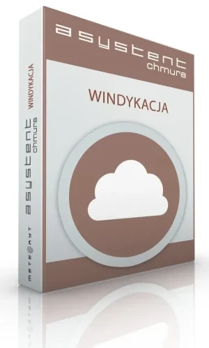 Asystent Chmura Windykacja BIZNES - 1 rok